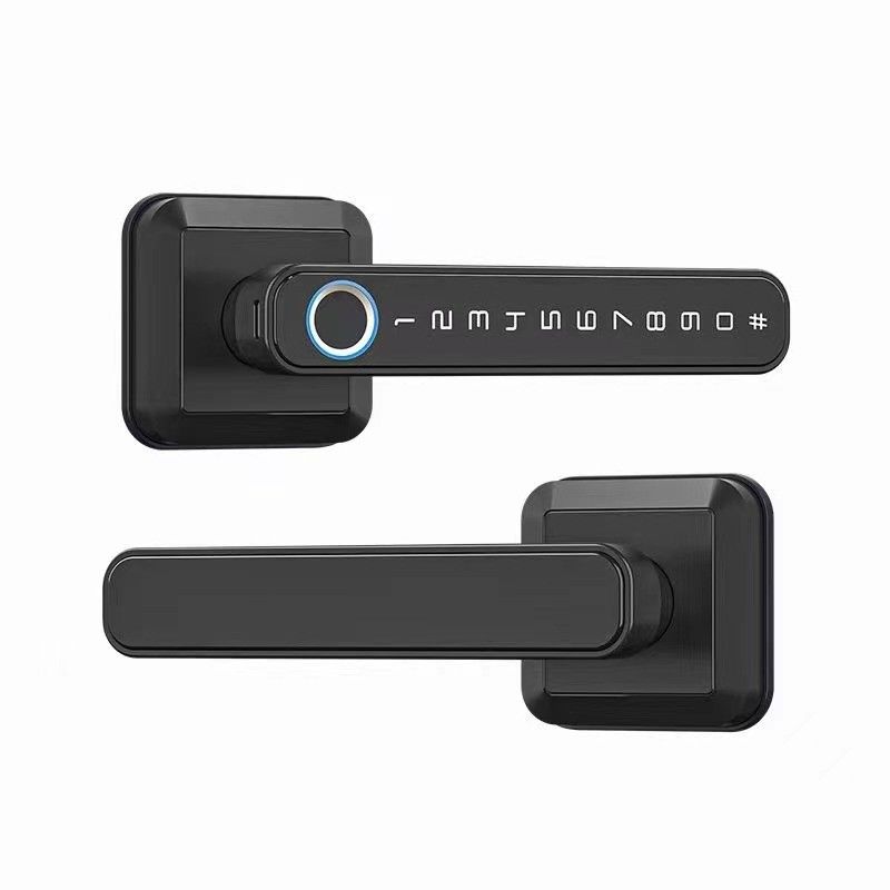 Manche de verrouillage d'entrée Bluetooth connecté WiFi pour verrouillage de porte de style moderne de simplicité