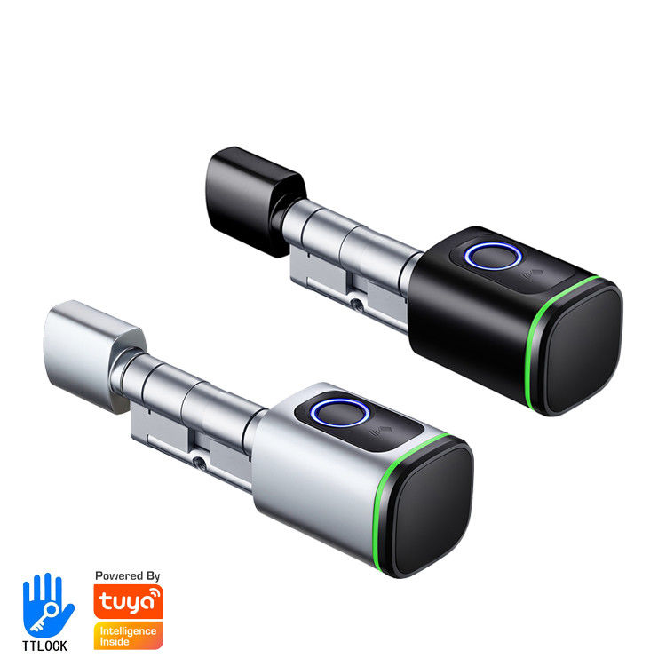 Fermeture numérique réseau de porte en acier inoxydable avec application WiFi Tuya et sécurité des empreintes digitales