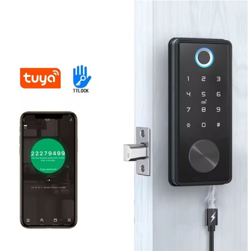 Fermeture intelligente en alliage de zinc noir bleu pour réseau WIFI Tuya APP Carte mémoire
