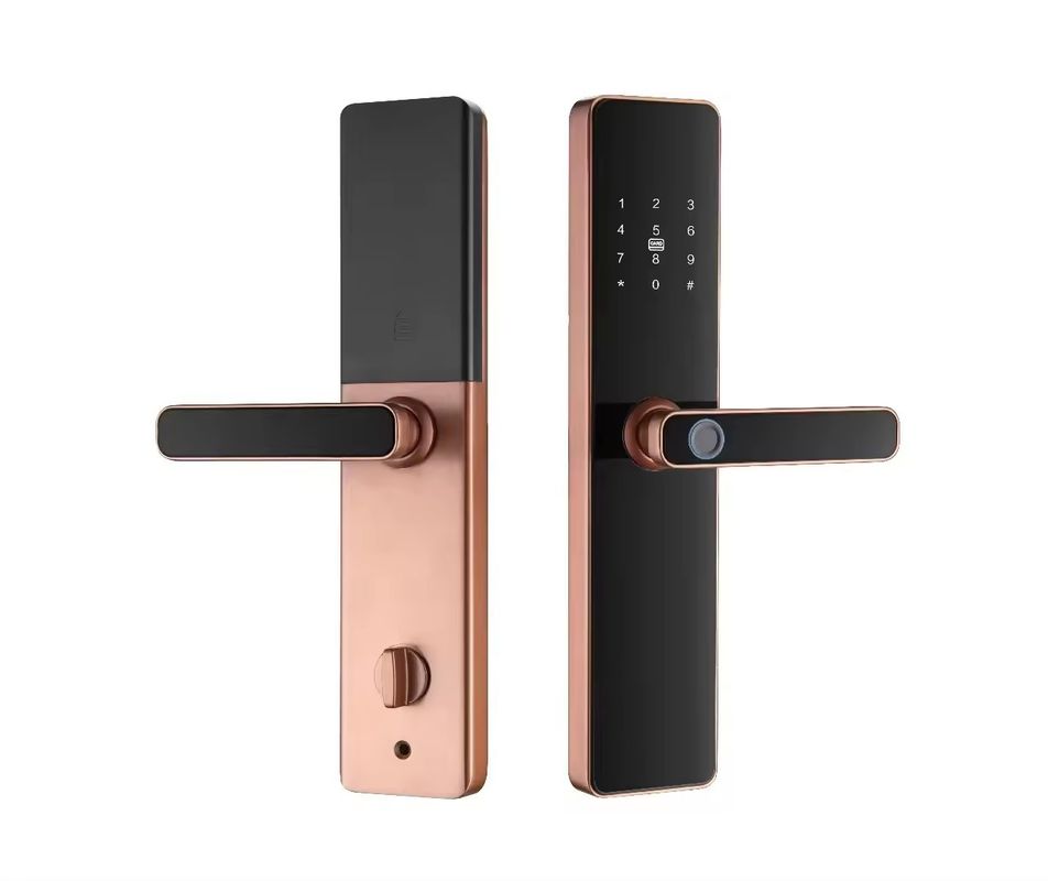 Fermeture de porte à empreinte digitale contrôlée par APP pour portes en aluminium bois acier Tuya Smart TT Lock