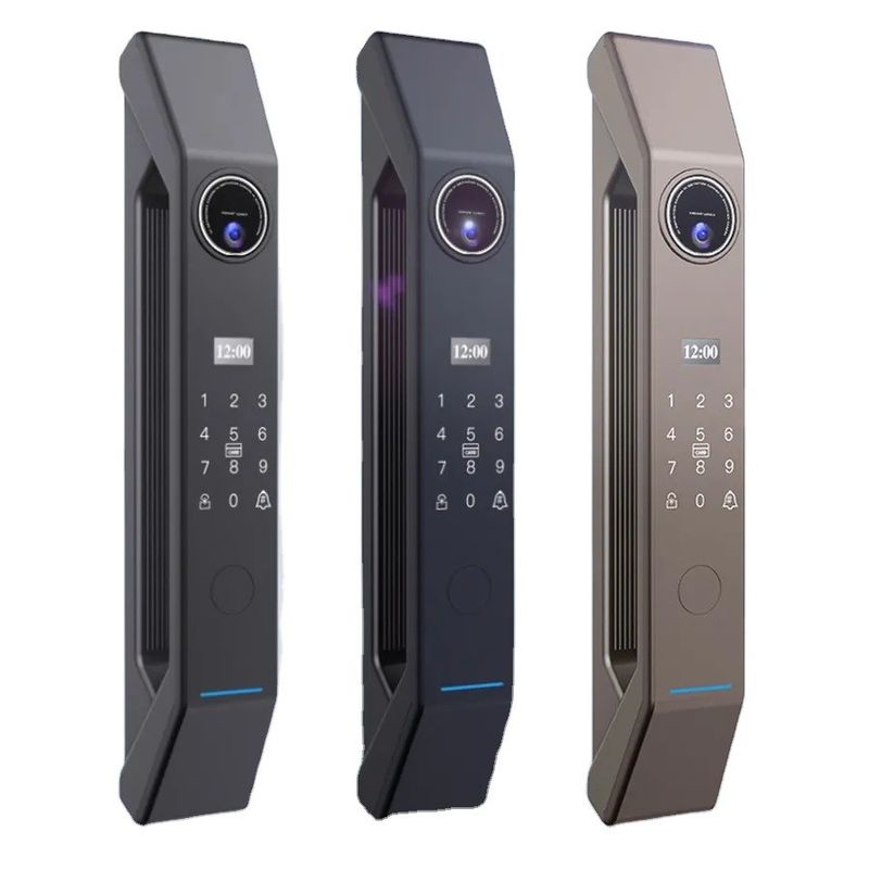 porte en acier de style tech Smart WiFi verrouillage avec le mot de passe de la veine du doigt et le contrôle APP