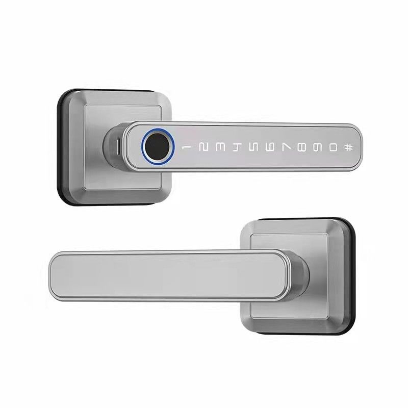 Type C alimentation Wifi Bluetooth Smart Home Lock avec sécurité sans clé avec empreinte digitale