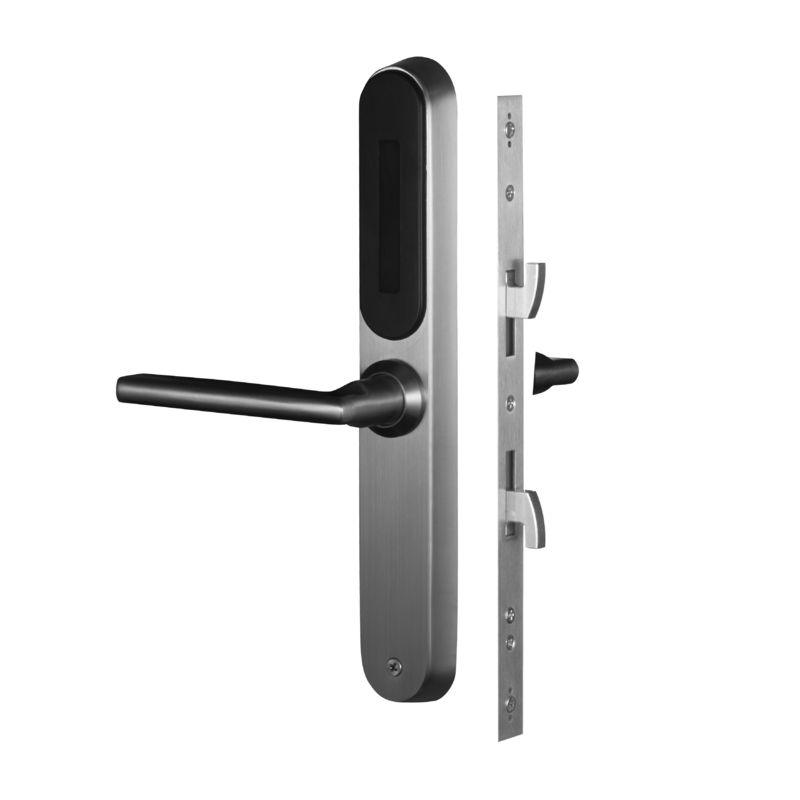 Fermeture à clef en acier inoxydable pour la maison Parola d'empreinte digitale WiFi Fermeture de porte en acier tout en un