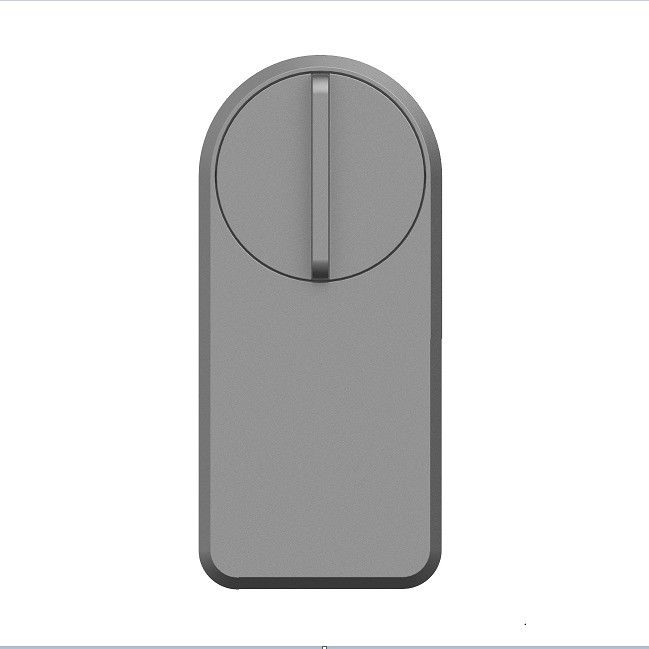 Zinc Alloy Tuya App Wifi Sans fil Mot de passe Fermeture de porte bleue intelligente pour 95% de portes
