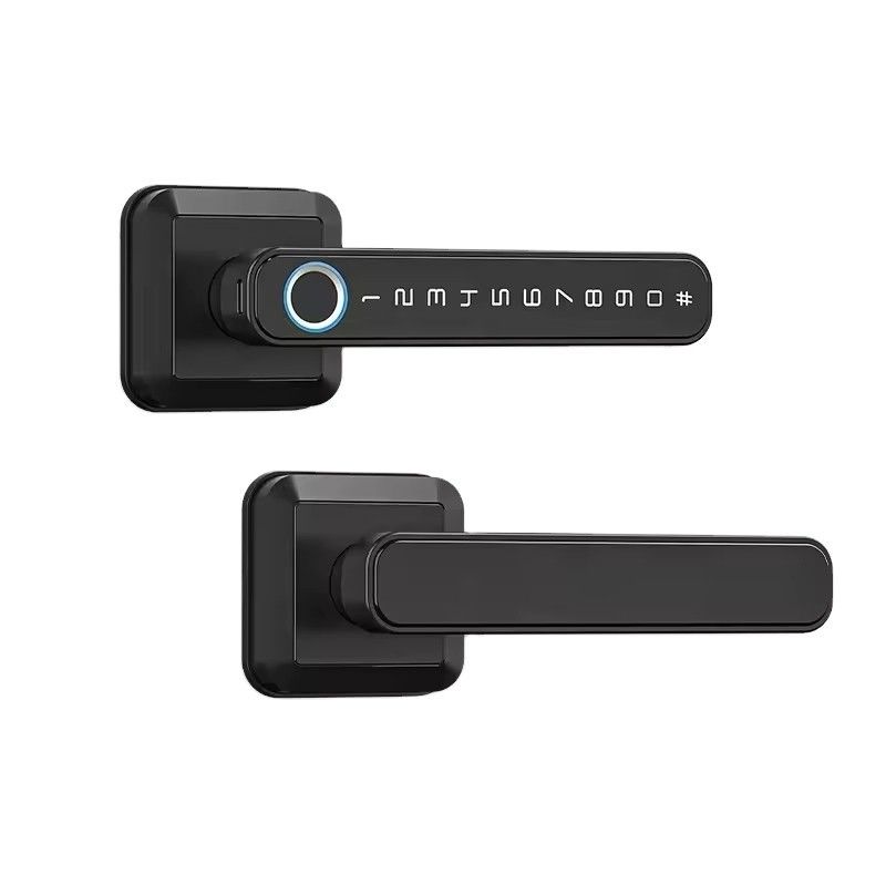 Cartes mémoire stockage de données Smart Lock pour porte en bois imperméable IP66 empreinte digitale Wifi