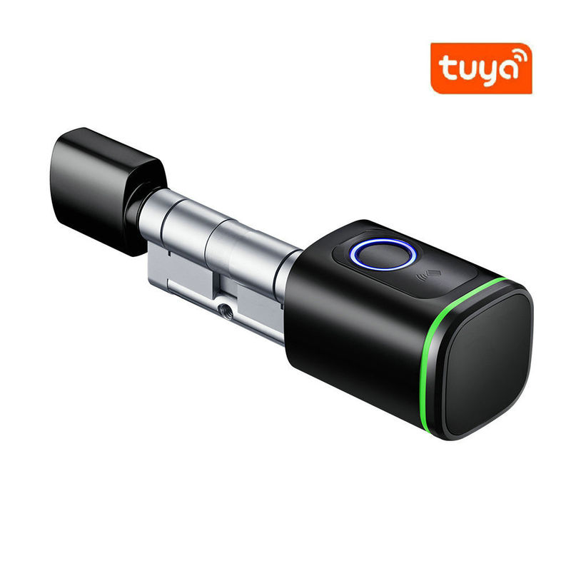 Réseau Bluetooth à la mode TUYA réfrigérateur intelligentverrouillage à cylindre imprimé pour porte de chambre