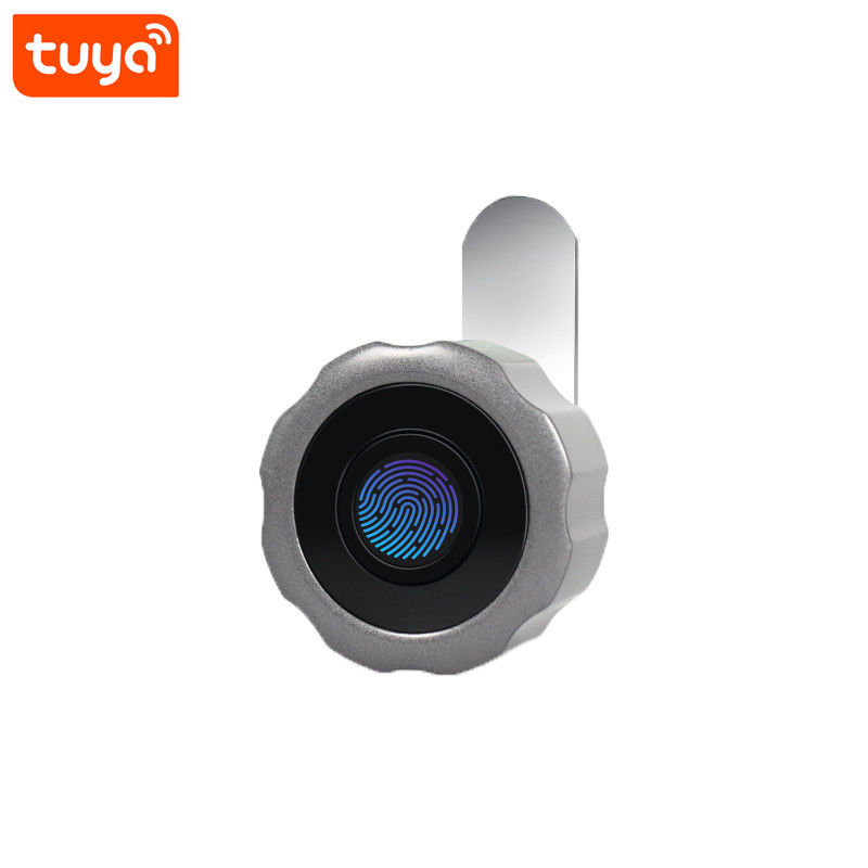 Porte vitrée Tuya Smart Magnétique Appareil à empreintes digitales Cabinet de tiroir sans clé Prix de serrure de porte