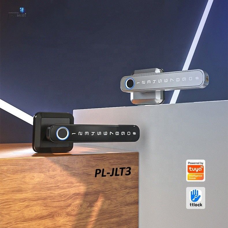 Fermeture de porte à empreintes digitales en alliage de zinc stylé avec méthode de déverrouillage de l'application Wifi Tuya