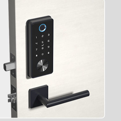 Le verrouillage numérique de la porte Tuya Smart Wi-Fi Noir déverrouille avec code APP et empreinte digitale