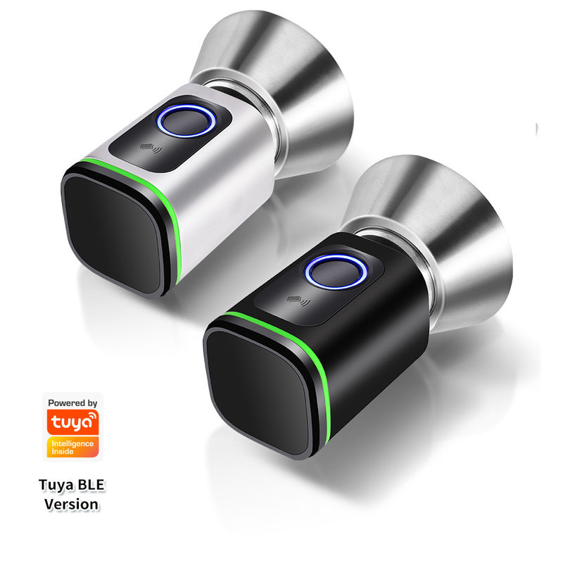 Code de passe argent noir TUYA APP Fermeture de porte avec verrouillage Wifi Lecteur de réseau Dimensions 42*42mm